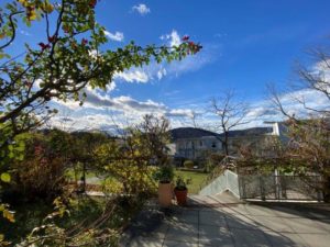 IMG_2326