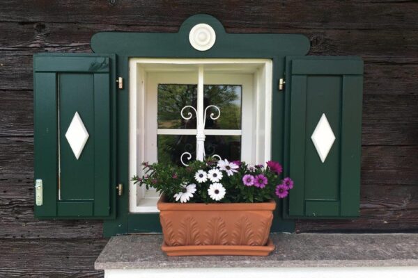 Haus